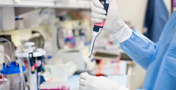 国产成人精品三级麻豆环境麻豆成人免费视频技术(上海)有限公司